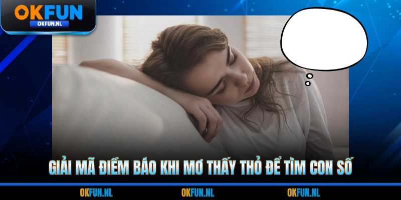 Giải mã điềm báo khi mơ thấy thỏ để tìm con số