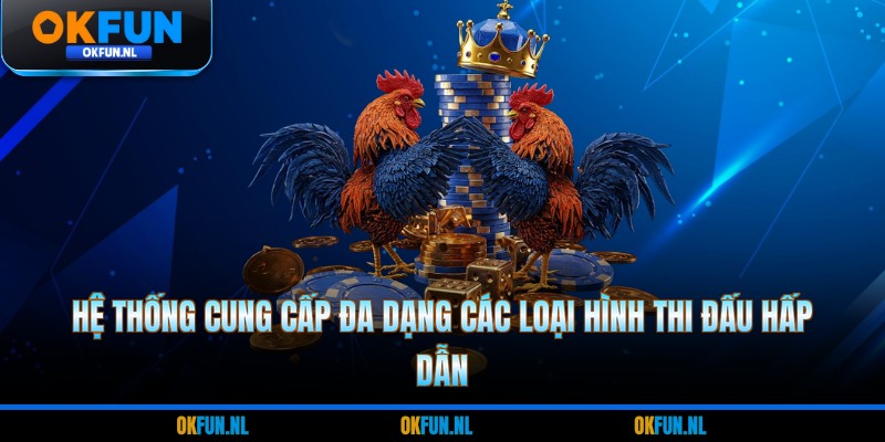Hệ thống cung cấp đa dạng các loại hình thi đấu hấp dẫn