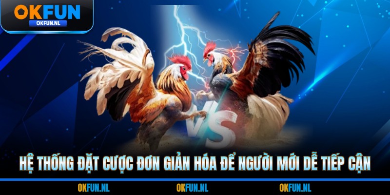 Hệ thống đặt cược đơn giản hóa để người mới dễ tiếp cận