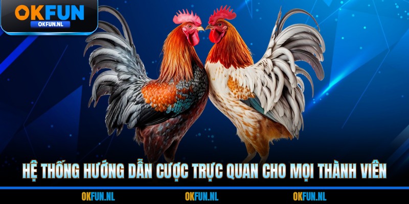 Hệ thống hướng dẫn cược trực quan cho mọi thành viên