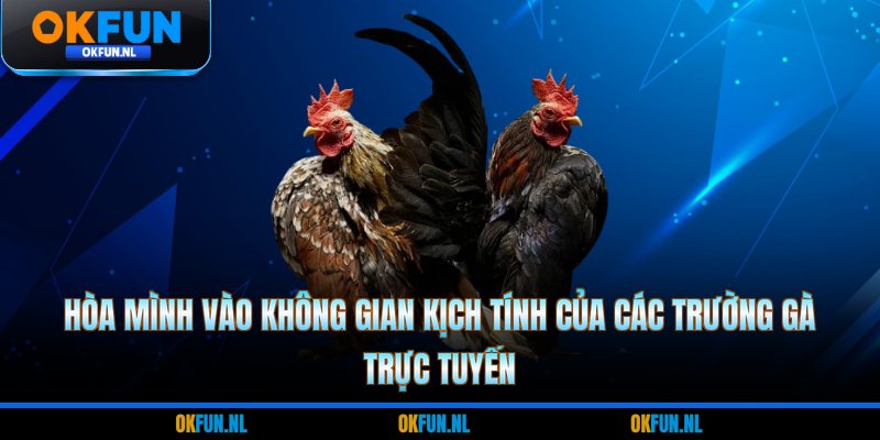 Hòa mình vào không gian kịch tính của các trường gà trực tuyến 