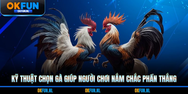 Kỹ thuật chọn gà giúp người chơi nắm chắc phần thắng